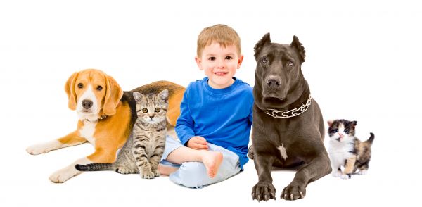 New Orleans Pets