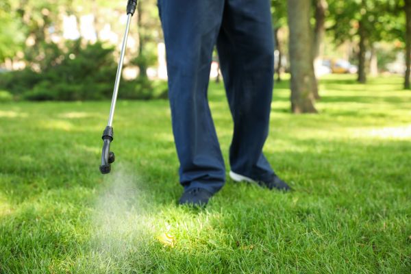 New Orleans Lawn Treatment