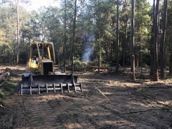 New Orleans Land Clearing